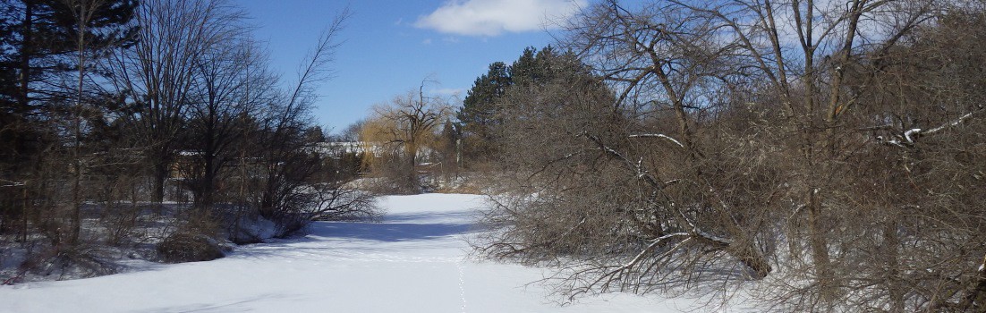 A picture of a winter landscape.