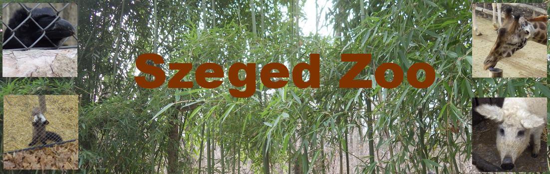 Szeged Zoo.