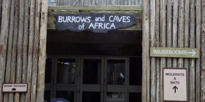 Burrows and Caves of Africa