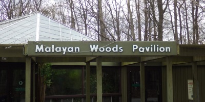 Malayan Woods Pavilion