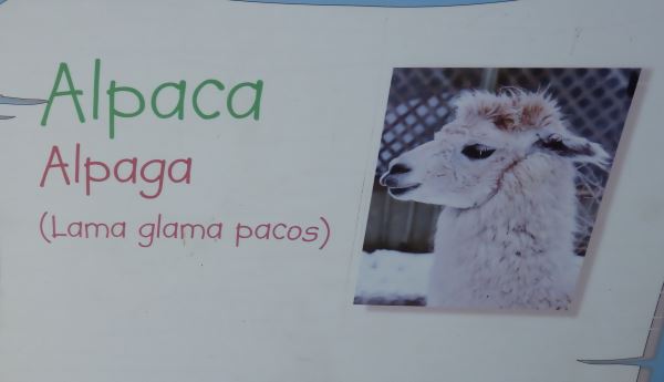 Alpaca sign in the Toronto Zoo.