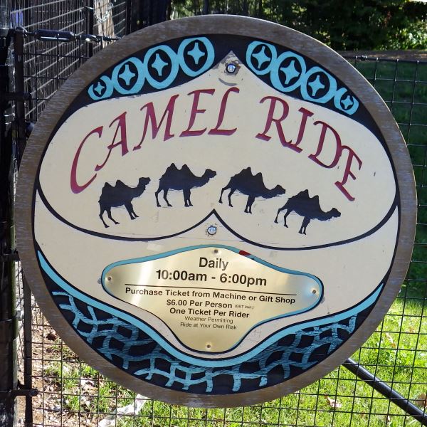 Camel ride sign in the Toronto Zoo.