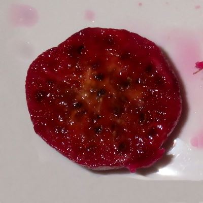 Opuntia fruit slice.
