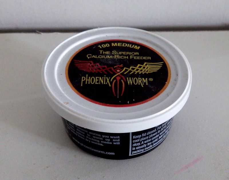 Phoenix worm box