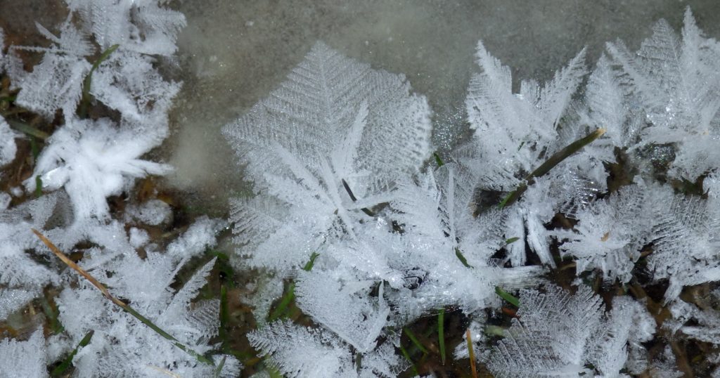 Frost Flowers