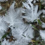 Frost flowers