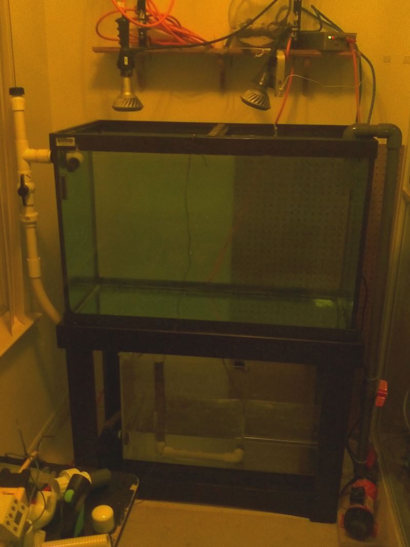 Setting up my marine reeftank after it has been drilled.