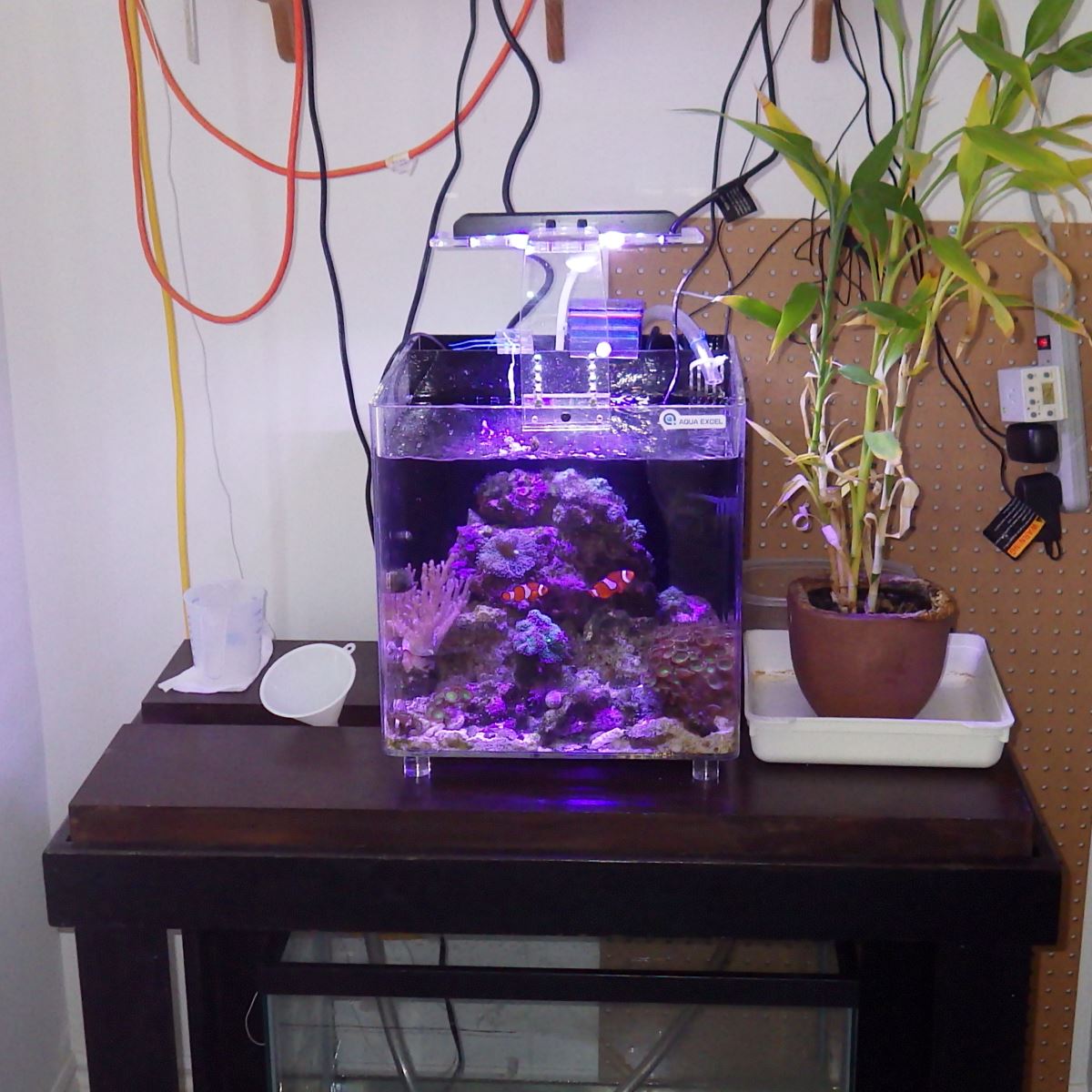 Modern Nano Reef Tank.